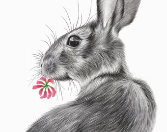 Rabbit drawing PRINT