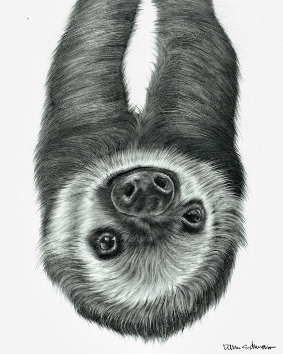 Dessin Original De Paresseux Etsy Canada Dessin Original De Paresseux Etsy Canada