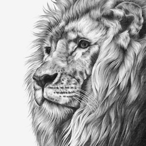 ライオンのオリジナル鉛筆画 – 野生動物の肖像画（額装済み、14×11
