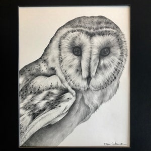 Barn Owl ORIGINAL DRAWING