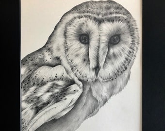 May include: A detailed pencil drawing of a barn owl, framed in black. The owl's face is centered, showcasing its heart-shaped facial disc and dark eyes. The artwork is signed by the artist, Dan Schuman.