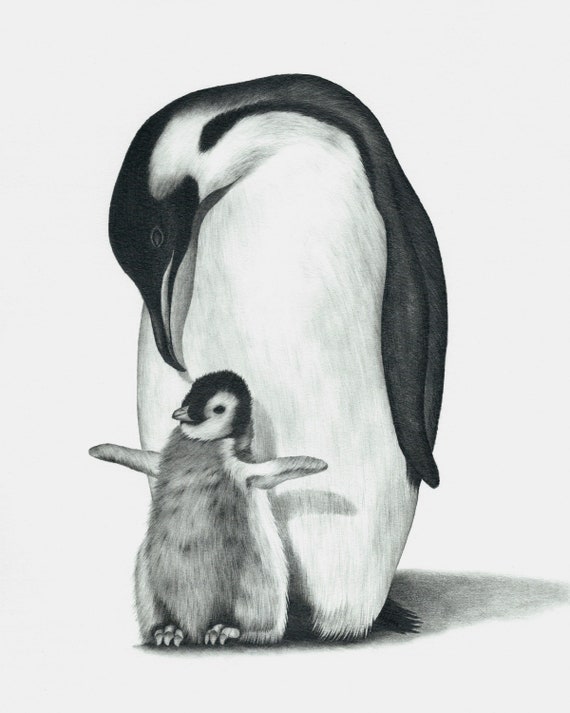 Pinguin Zeichnen