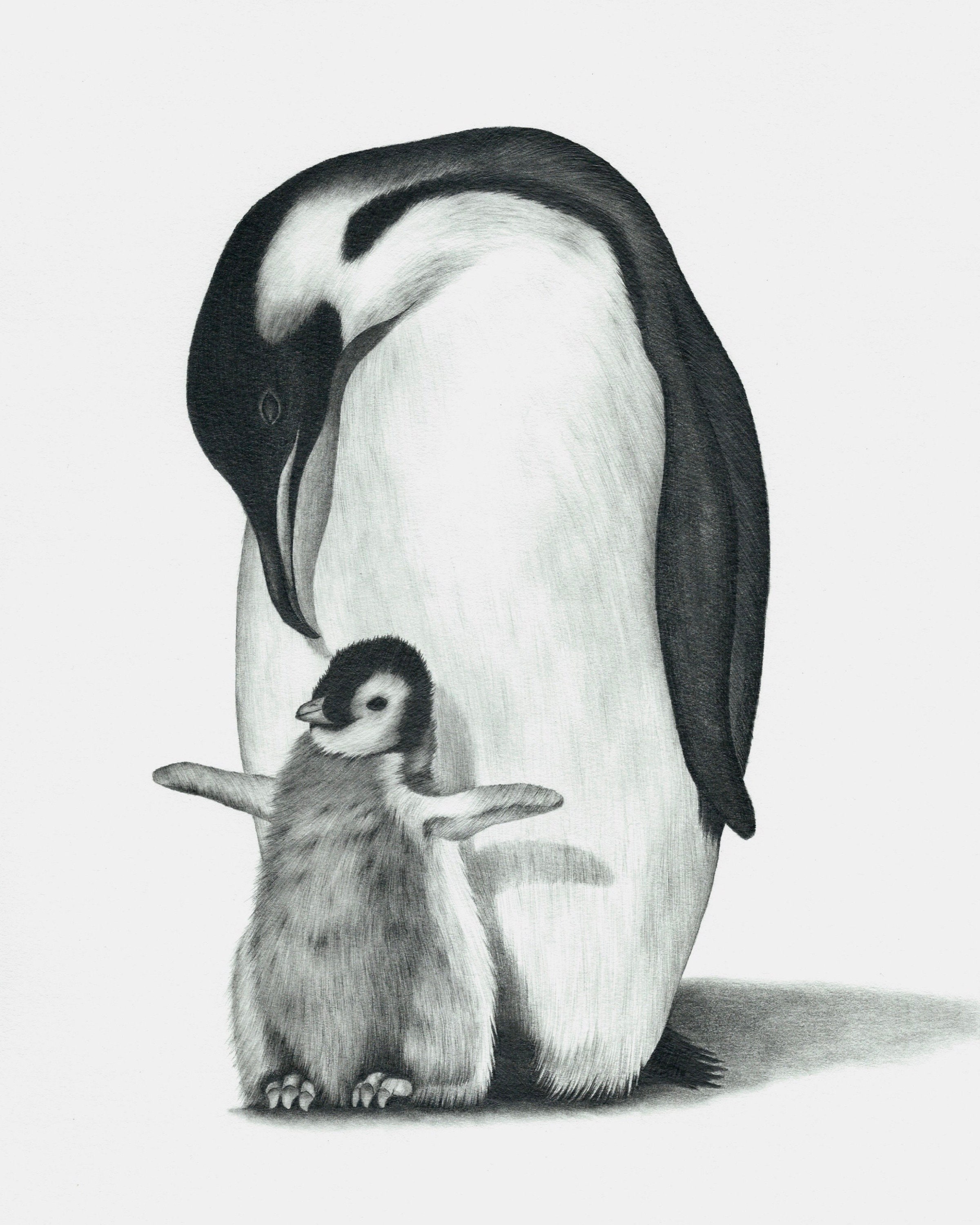 Penguin Drawing PRINT Etsy