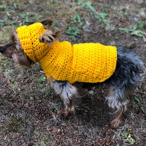 Small Dog Hoodie Sweater