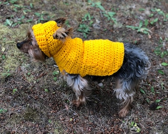 Suéter con capucha para perros pequeños
