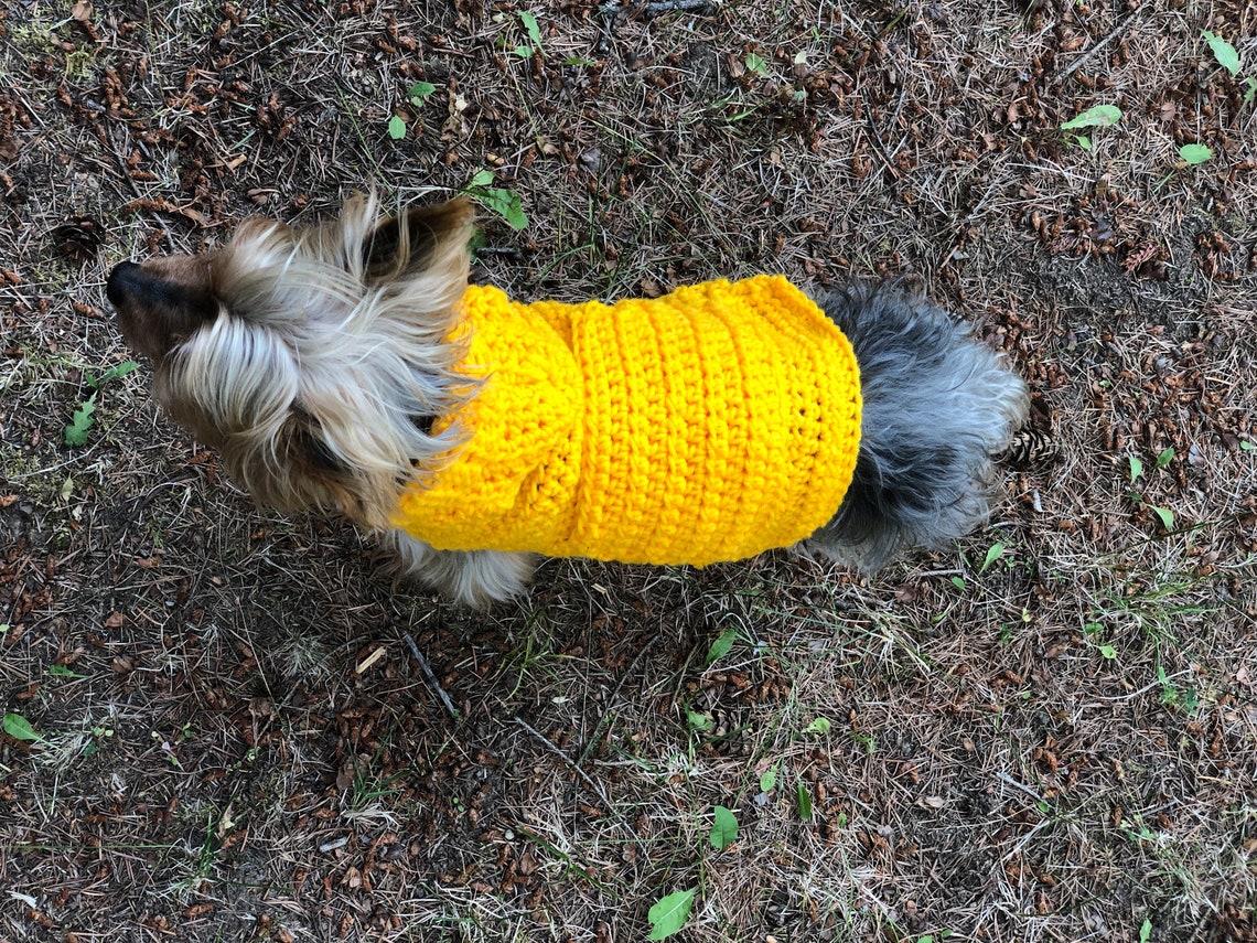 Small Dog Hoodie Sweater Etsy