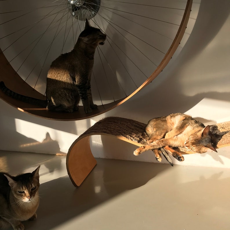 Chaise Longue chaise Lounge for Cats by Holindesign Etsy