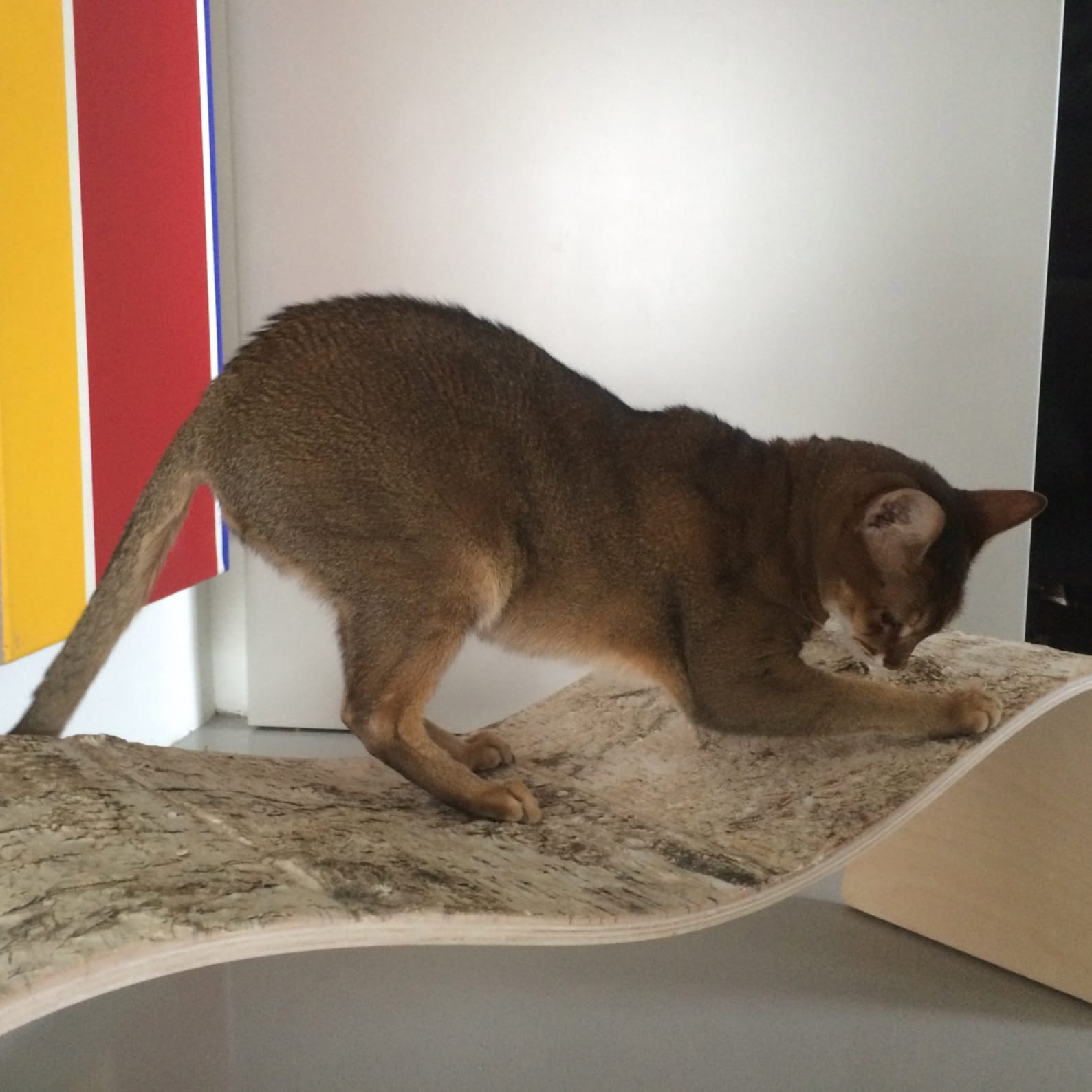 Chaise Longue chaise Lounge for Cats by Holindesign Etsy