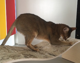 chaise longue (tiragraffi) per gatti di HolinDesign