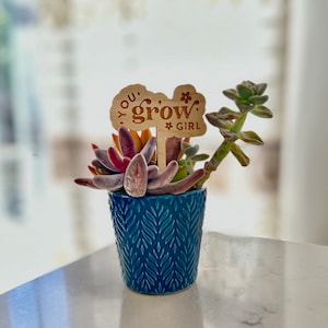 You Grow Girl, funny plant stake, plant graduation gift, gardening lover, plant lover gift, pot marker, spring, realtor housewarming gift
