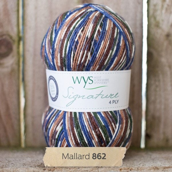 4 ply yarn, West Yorkshire Spinners Signature 4 ply, sock yarn, ideal for hand knitted socks, self striping sock yarn, Shade Mallard.