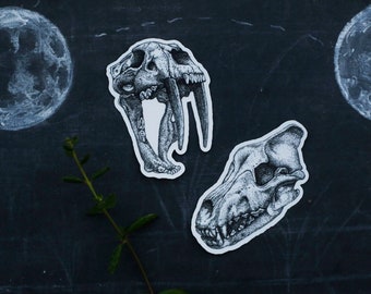 Extinct California: Two Skull Vinyl Stickers - Smilodon Saber Tooth Cat, Dire Wolf Skull