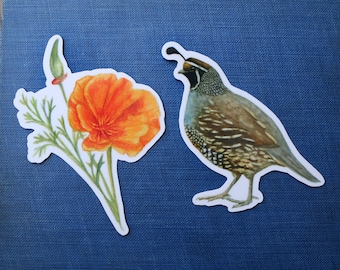 California Poppy & Quail Sticker Set: Two Vinyl Stickers