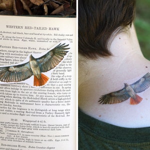 Red Tailed Hawk Two Temporary Tattoos Etsy