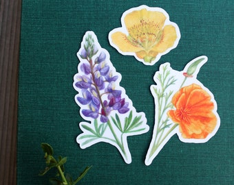 California Wildflower Stickers: Three Vinyl Stickers, California Poppy, Silver Lupine, Mariposa Lily