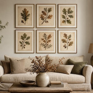 May include: A set of six framed botanical prints featuring detailed illustrations of oak leaves and acorns in earthy tones of brown, green, and tan. Each print is encased in a thin wooden frame and arranged in a grid pattern on the wall.