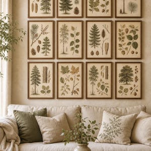 May include: A gallery wall arrangement of twelve framed botanical prints featuring various trees, leaves, and pinecones in shades of green and brown. Each print is encased in a simple wooden frame, displayed in a grid pattern on a neutral wall.
