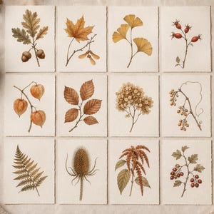 Puede incluir: Una colección de doce láminas rectangulares con ilustraciones botánicas detalladas de hojas de otoño, bellotas, bayas, helechos y flores secas en tonos tierra cálidos, dispuestas en una cuadrícula sobre papel texturizado de color crema.