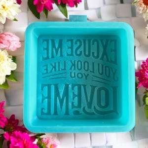 Excuse Me You Look Like You Love Me Silicone Mold - Etsy