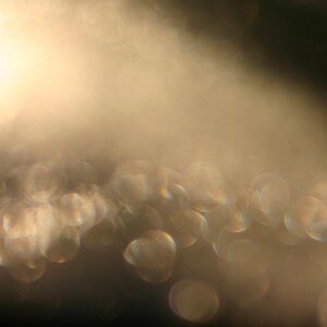 May include: An abstract image with a soft focus, displaying a gradient of warm, golden hues. The composition includes blurred, circular shapes creating a bokeh effect, suggesting light and depth. The overall aesthetic is dreamy and ethereal.