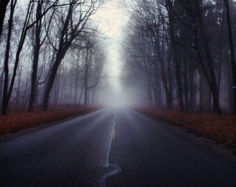 Digitale Datei zum Drucken, Halloween, Wald, Wald, Wald, Nebel