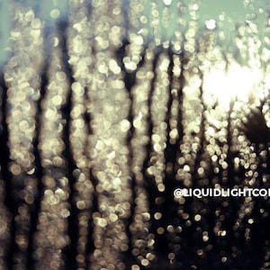 Könnte beinhalten: Abstraktes Bild mit Unschärfe, das dunkle und helle Töne mischt. Die Komposition umfasst vertikale Streifen und kreisförmiges Bokeh, wodurch eine verträumte, atmosphärische Ästhetik entsteht. Der Text "@LIQUIDLIGHTCODES" ist unten rechts sichtbar.