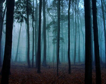 Digitale Datei zum Drucken, Halloween, Wald, Wald, Wald, Nebel