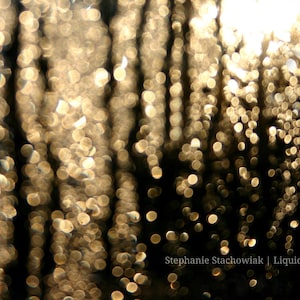 Könnte beinhalten: Abstrakte Fotografie mit Bokeh-Effekt, die verschwommene goldene und weiße kreisförmige Lichter vor einem dunklen Hintergrund zeigt. Vertikale Streifen und eine helle Lichtquelle sind sichtbar. Der Text unten lautet "Stephanie Stachowiak | Liquid Lightcodes."