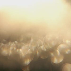 May include: An abstract image with a soft focus effect. The image shows a gradient of warm colours, shifting from a bright, light yellow at the top to a darker, muted gold at the bottom. The bokeh effect creates a dreamy, ethereal quality.