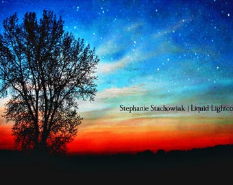 Fotografia da natureza, estrelas, árvore, pôr do sol, arquivo digital para impressão.