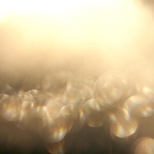May include: Abstract image with a soft focus effect. The image features a gradient of light and dark tones, with a blurred bokeh effect. The colours range from light gold to a darker brown.