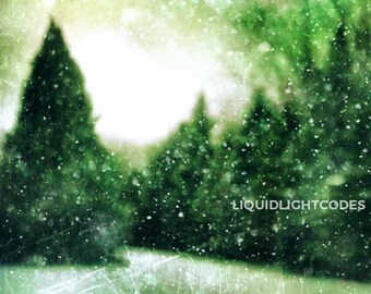 Digitale Datei zum Drucken, Weihnachten, Winter, Abstrakt, Natur Fotografie, Wald