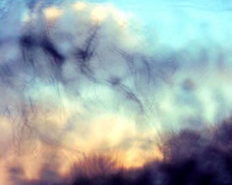 Digitale Datei für den Druck, Fenster Magie, Abstrakt, Natur Fotografie