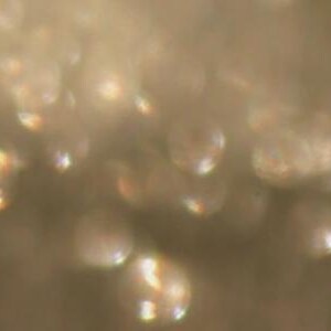 May include: An abstract image with a soft focus effect. The image shows numerous, out-of-focus, circular shapes in varying sizes, with a warm, golden colour palette. Some circles have hints of rainbow iridescence.