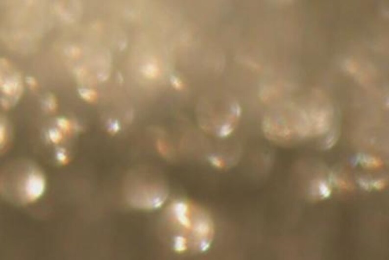 May include: An abstract image with a soft focus effect. The image shows numerous, out-of-focus, circular shapes in varying sizes, with a warm, golden colour palette. Some circles have hints of rainbow iridescence.