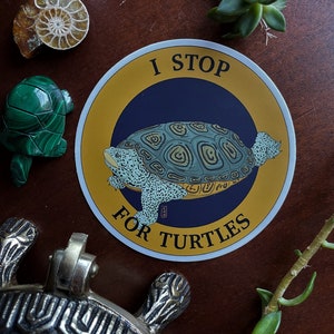 May include: A round sticker with a turtle illustration and the text "I STOP FOR TURTLES". The sticker has a navy blue center, a gold border, and a turtle design in shades of green and tan. Other turtle-themed items surround the sticker.