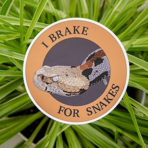 Può includere: Un adesivo rotondo con un'illustrazione di un serpente. L'adesivo ha un bordo arancione con il testo "I BRAKE FOR SNAKES" in un motivo circolare. Il serpente è raffigurato con segni marroni, neri e beige, su uno sfondo grigio scuro.