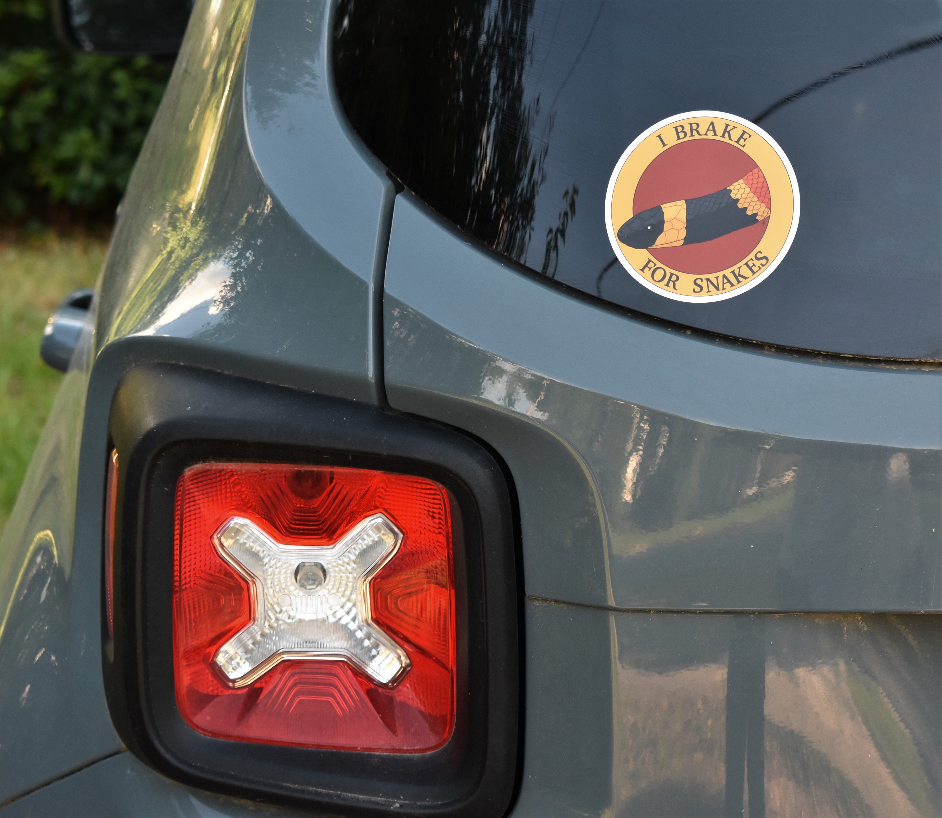 I Brake for All Kinds of Snakes Etsy