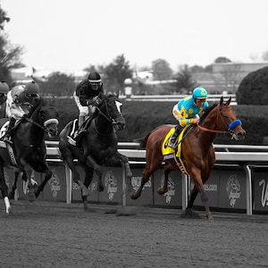 Fine Art Photo Print of American Pharoah, Breeders&#39; Cup, Keeneland, Triple Crown, Kentucky Derby, Lexington, Kentucky Equestrian Horse Decor