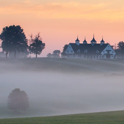 Fine Art Print of Dixiana Horse Farm Kentucky Art Artwork Etsy