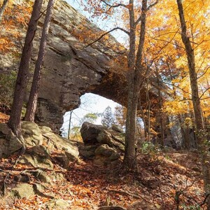 Fall at Natural Bridge in Red River Gorge Fine Art Print