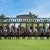 Thoroughbred Horse Farm Photography Print - Kentucky Horse Art For Home Wall Decor