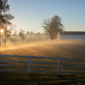 Sunrise on Thoroughbred Horse Farms in the Heart of Kentucky. Photo Art Print for Home Decor.