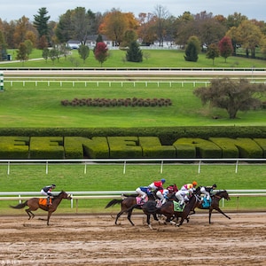 Fine Art Print of Keeneland Race Track, Thoroughbred Horse Racing, Equine Rustic Home Wall Hangings Decor, Equestrian Art