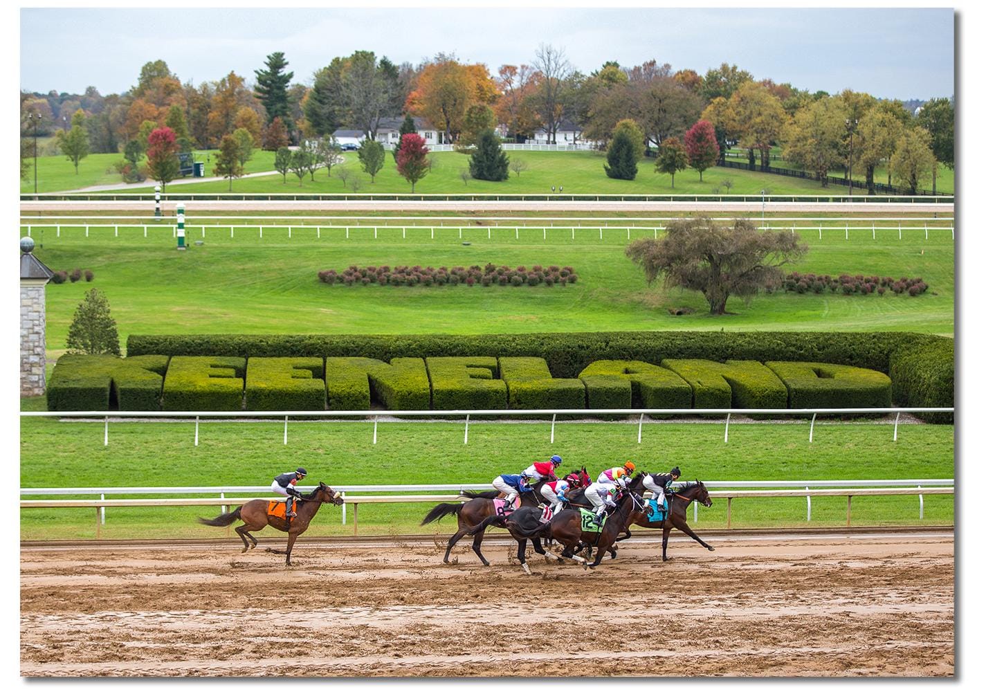 Rx Horse Racing Forum: Ultimate Insights & Winning Strategies