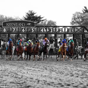 Fine Art Print of Keeneland Racing, Horse Racing, Lexington, Bluegrass, Kentucky Art, Equestrian Decor, Horse Wall Canvas Photo Art Print