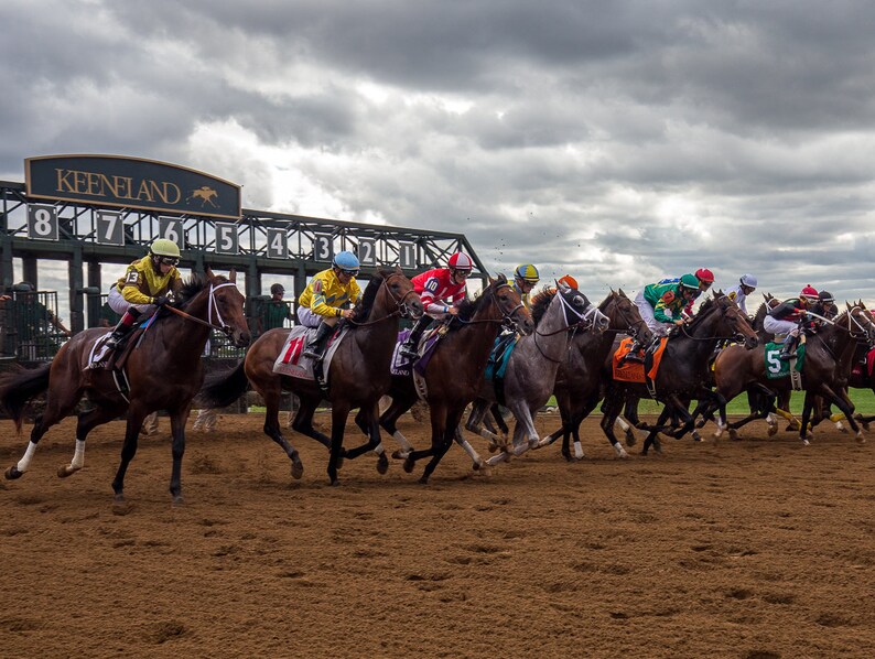 Fine Art Print of Keeneland Horse Racing, Lexington, Bluegrass, Kentucky, Photo Art Rustic Home