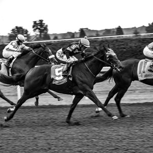 Fine Art Print of Keeneland Racing, Horse Racing, Lexington, Bluegrass, Kentucky, Horse Photography, Horse Canvas, Equestrian Decor