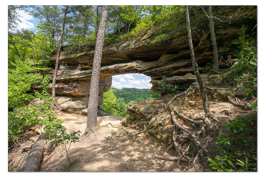 Double Arch Looking Towards Auxier Ridge in Red River Gorge Fine Art ...