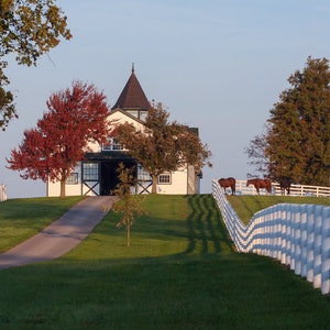 Fine Art Print of Dixiana Horse Farm - Kentucky Art - Artwork for Home Decoration - Equestrian Print for Home Decor - Horse Wall Art